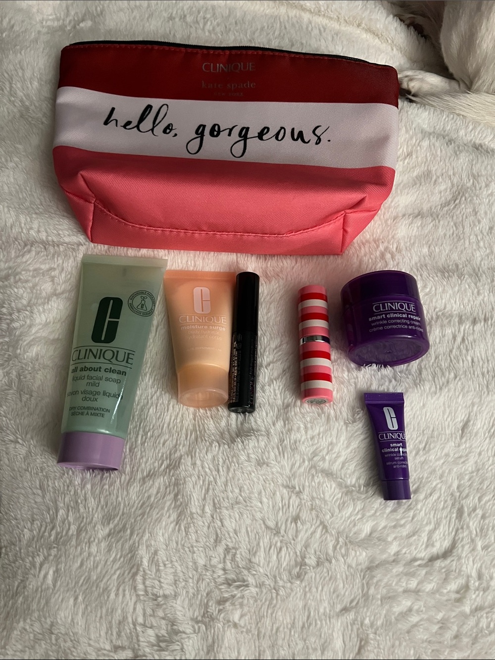 Clinique Pink Striped 'hello, gorgeous.' Cosmetic Bag with Skincare Minis